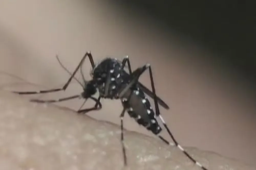 Paraíba confirma mais de 2,3 mil casos de dengue e registra uma morte em 2026